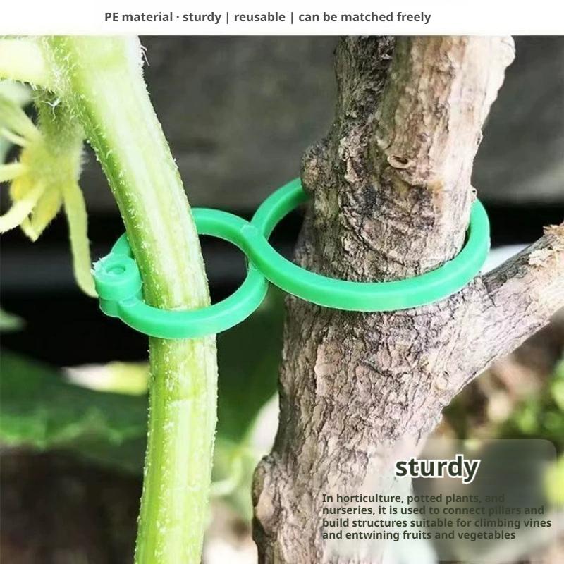 100개 식물 지지 클립, 토마토, 덩굴식물 및 등반식 - Vine Climbing Plastic 리뷰 및 가격