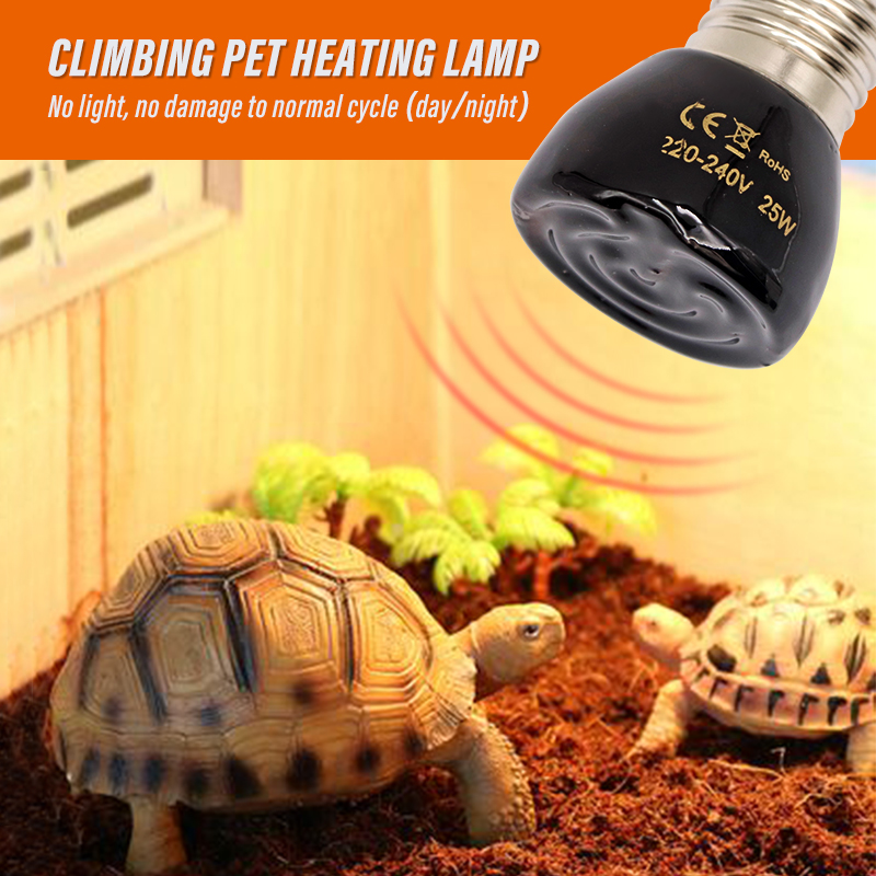 220V 원적외선 가열 램프 블랙 세라믹 E27 애완동 - Ceramic Heat Emitter 리뷰 및 가격