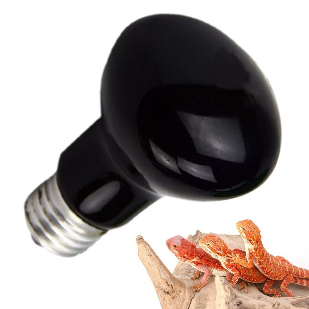내구성 있는 UVA LED 애완동물 히팅 램프, 조절  - Ceramic Heat Emitter 리뷰 및 가격